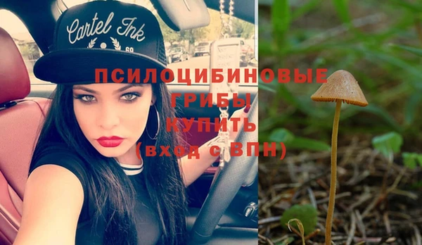 марихуана Белокуриха