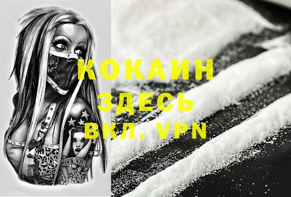 ешки Няндома